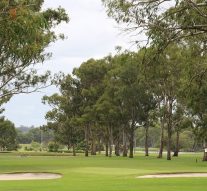 Sunshine Coast and South Burnett Golf Courses