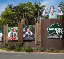 Sunshine Coast Accommodation Near Australia Zoo