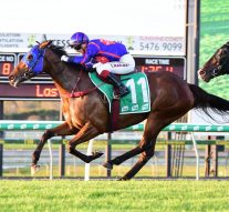 Sunshine Coast Horse Racing is One of Australia’s Top Attractions