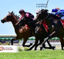 Bet on Sunshine Coast Racehorses and Get the Latest Breaking News Today