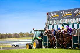 Sunshine Coast Jump Outs