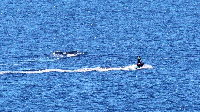 Breaking News Today – Jet Ski Adventures on the Sunshine Coast