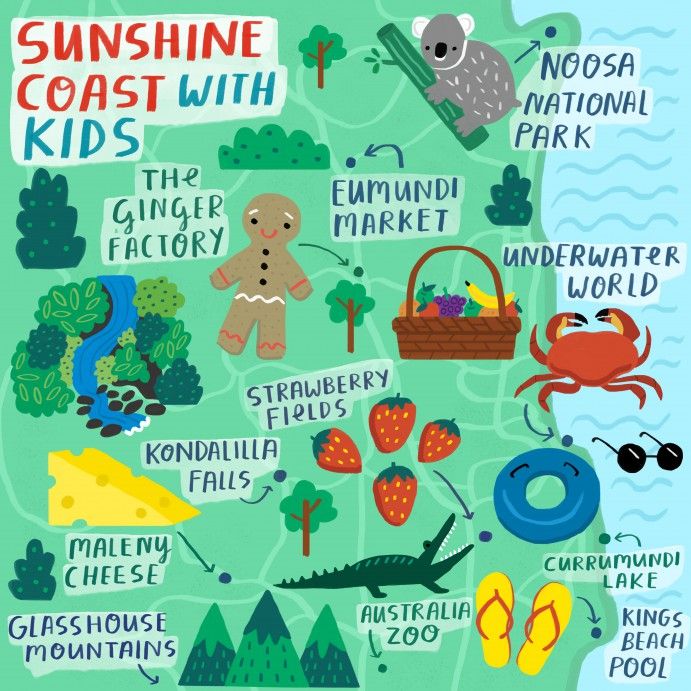 best-things-to-do-with-toddlers-in-australia-sunshine-coast-local