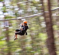 Experience the Sunshine Coast Zipline