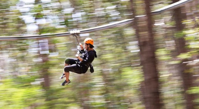 Experience the Sunshine Coast Zipline