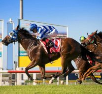 Sunshine Coast Races Today – Catch the Latest Breaking News Today