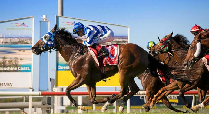 Sunshine Coast Races Today – Catch the Latest Breaking News Today