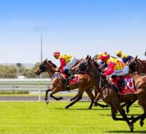 Breaking News Today – Sunshine Coast Racecourse