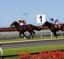 Sunshine Coast Horse Racing – Get the Latest News Today