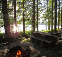 Camping Sunshine Coast Near Beach